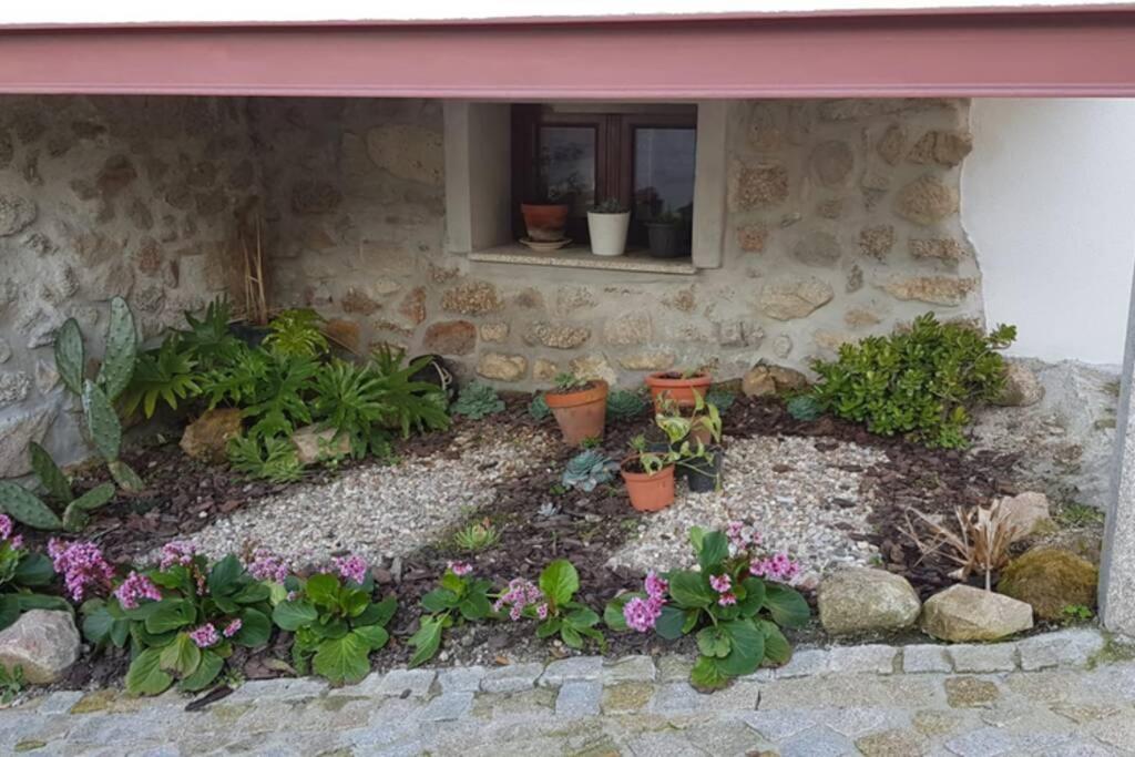 Casa Bento Moura Portugal Villa Moimenta da Serra Екстериор снимка