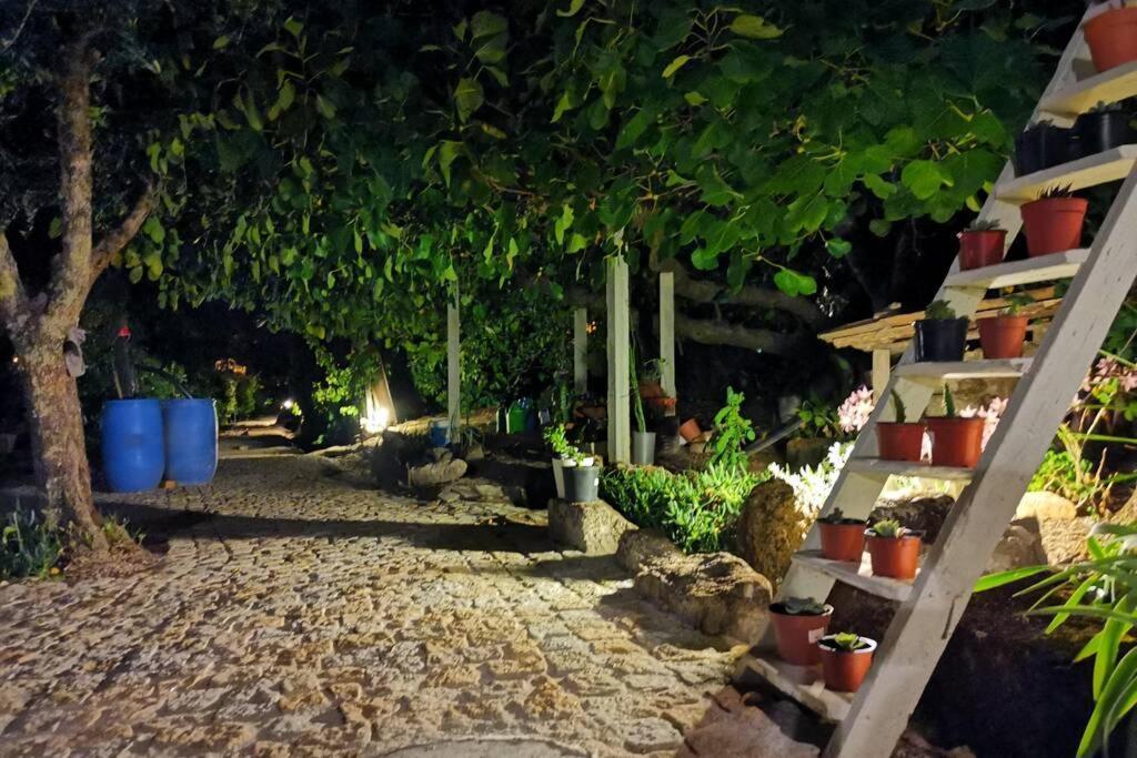 Casa Bento Moura Portugal Villa Moimenta da Serra Екстериор снимка