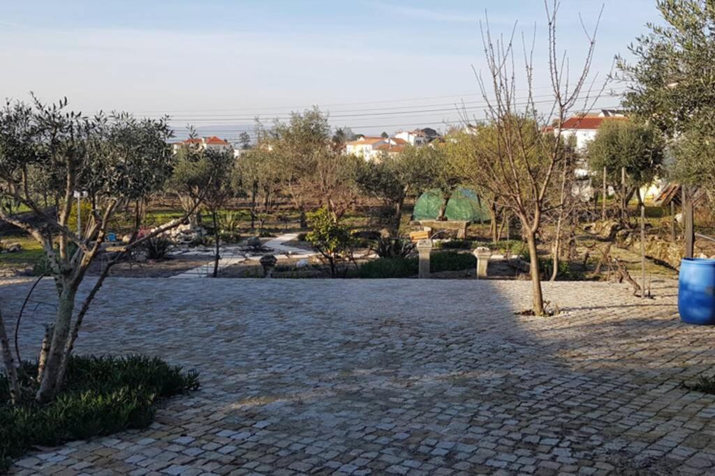 Casa Bento Moura Portugal Villa Moimenta da Serra Екстериор снимка